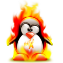 Penguin pingouin pinguino 163